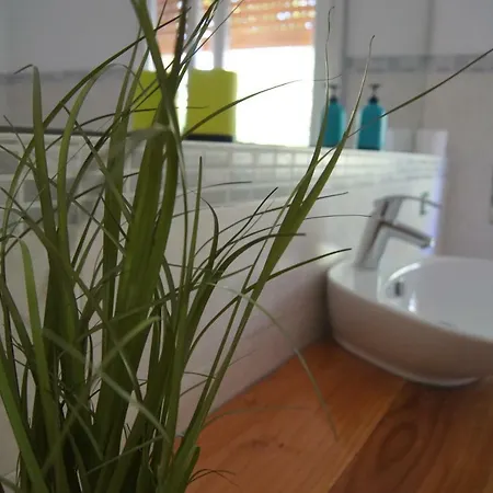 Apartment For